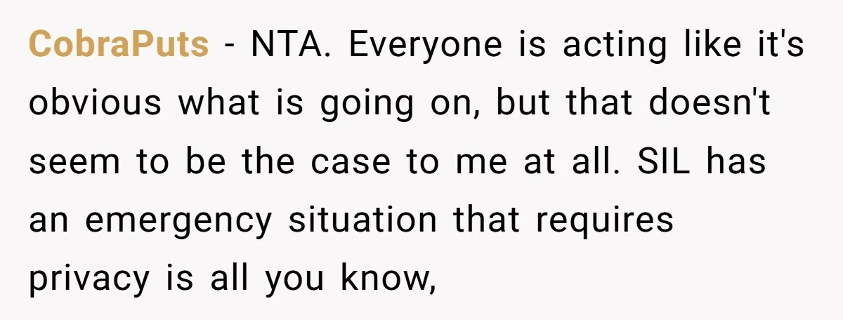 CobraPuts − NTA. Everyone is acting like it's obvious what is going on, but that doesn't seem to be the case to me at all. SIL has an emergency situation...