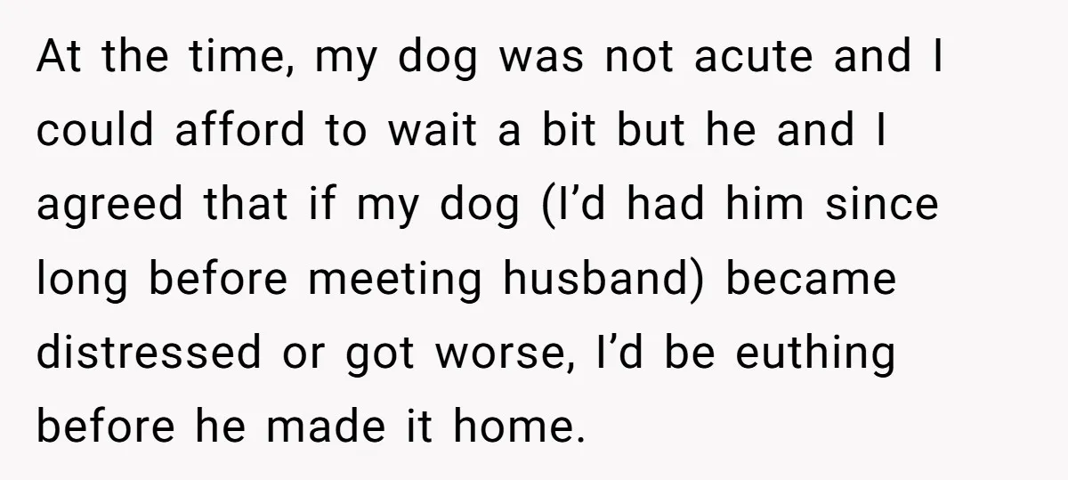 At the time, my dog was not acute and I could afford to wait a bit but he and I agreed that if my dog (I’d had him since long...