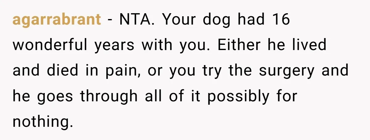 agarrabrant - NTA. Your dog had 16 wonderful years with you. Either he lived and died in pain, or you try the surgery and he goes through all of it...