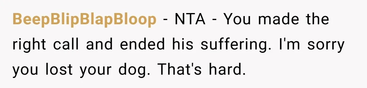 BeepBlipBlapBloop - NTA - You made the right call and ended his suffering. I'm sorry you lost your dog. That's hard.