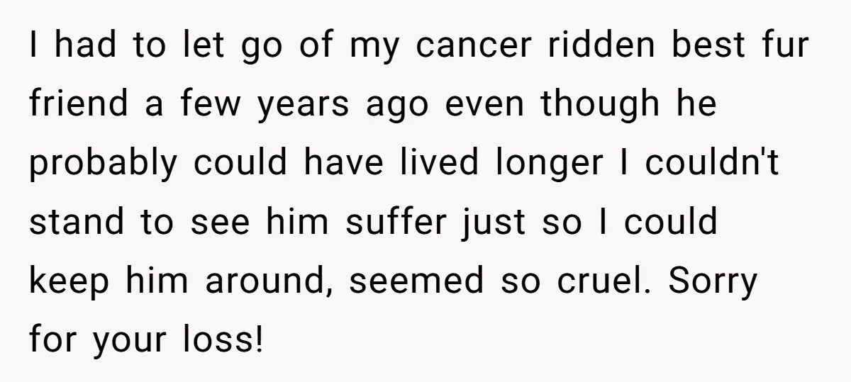 I had to let go of my cancer ridden best fur friend a few years ago even though he probably could have lived longer I couldn't stand to see him...