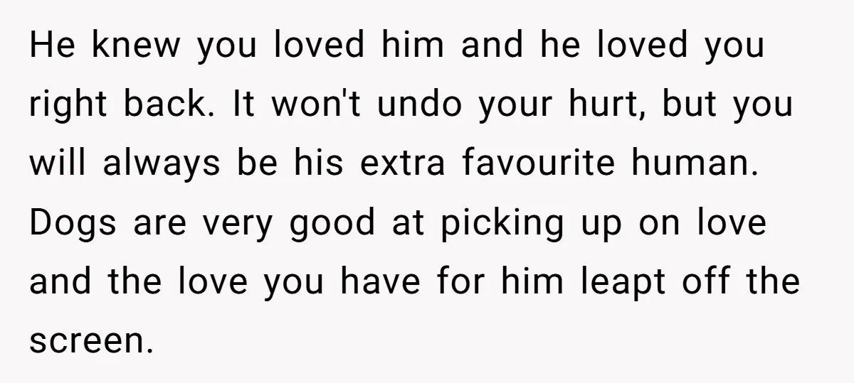 He knew you loved him and he loved you right back. It won't undo your hurt, but you will always be his extra favourite human. Dogs are very good at...