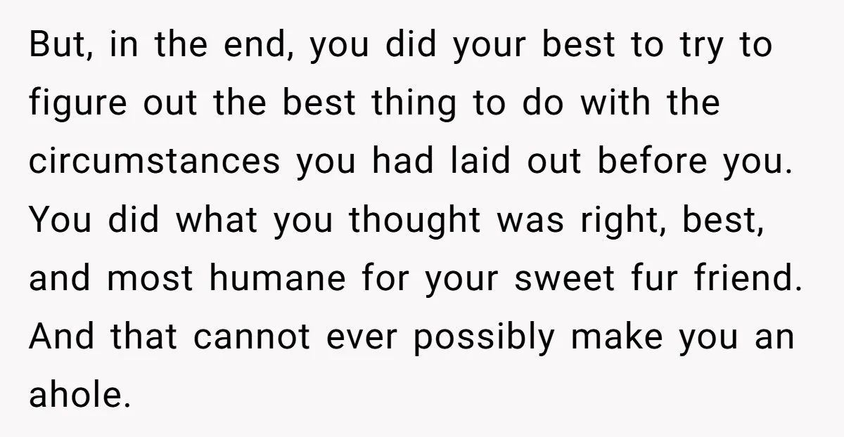 But, in the end, you did your best to try to figure out the best thing to do with the circumstances you had laid out before you. You did what...