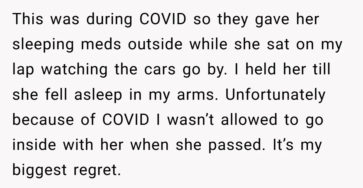 This was during COVID so they gave her sleeping meds outside while she sat on my lap watching the cars go by. I held her till she fell asleep in...