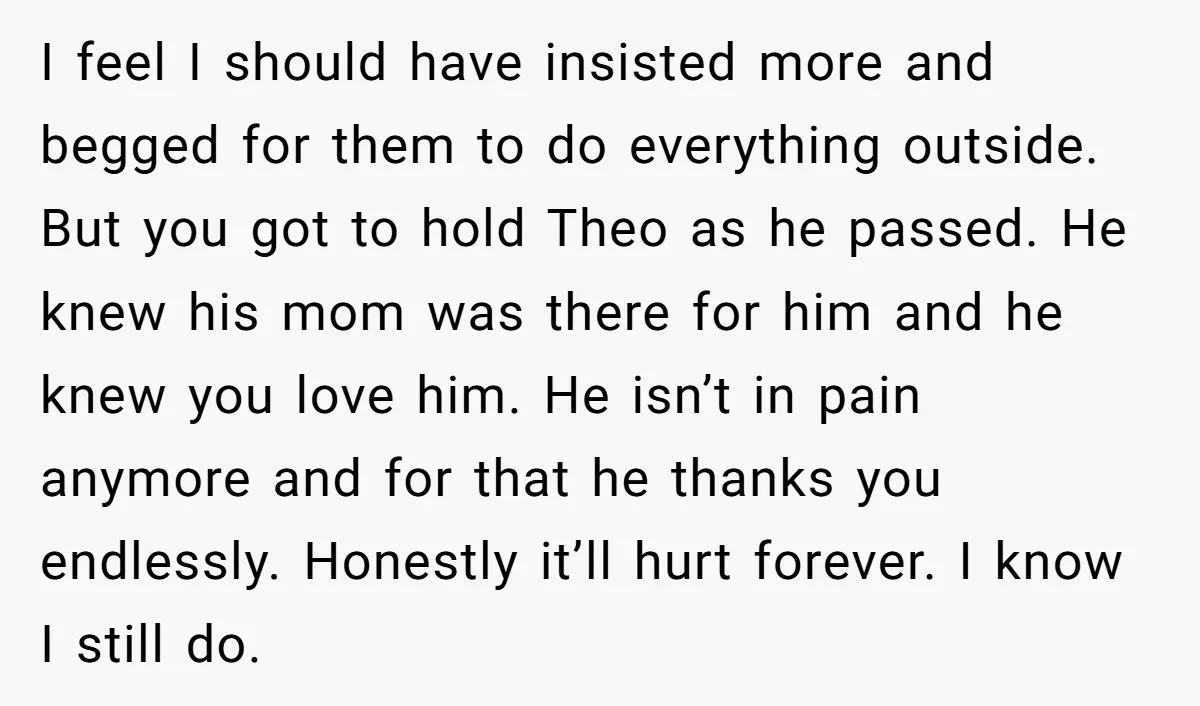 I feel I should have insisted more and begged for them to do everything outside. But you got to hold Theo as he passed. He knew his mom was there...