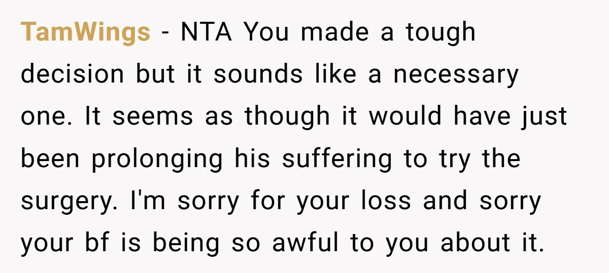TamWings - NTA You made a tough decision but it sounds like a necessary one. It seems as though it would have just been prolonging his suffering to try the...