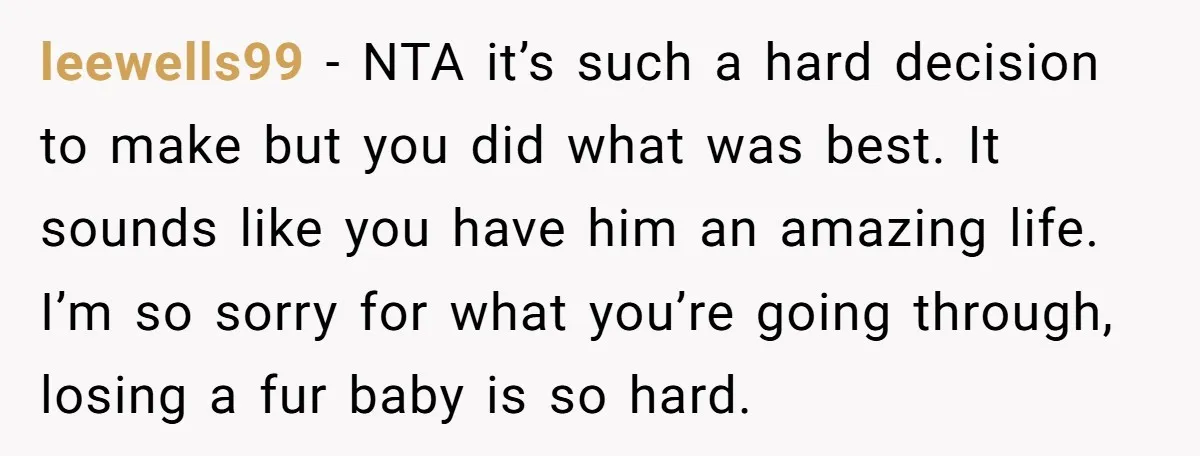 leewells99 - NTA it’s such a hard decision to make but you did what was best. It sounds like you have him an amazing life. I’m so sorry for what...