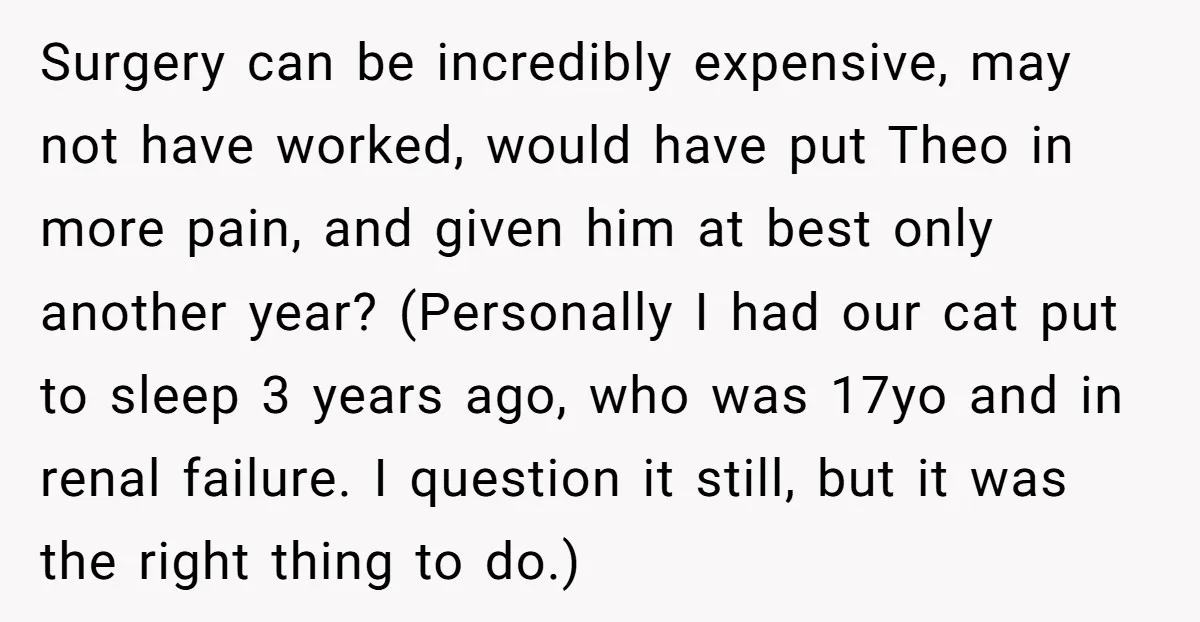Surgery can be incredibly expensive, may not have worked, would have put Theo in more pain, and given him at best only another year? (Personally I had our cat put...