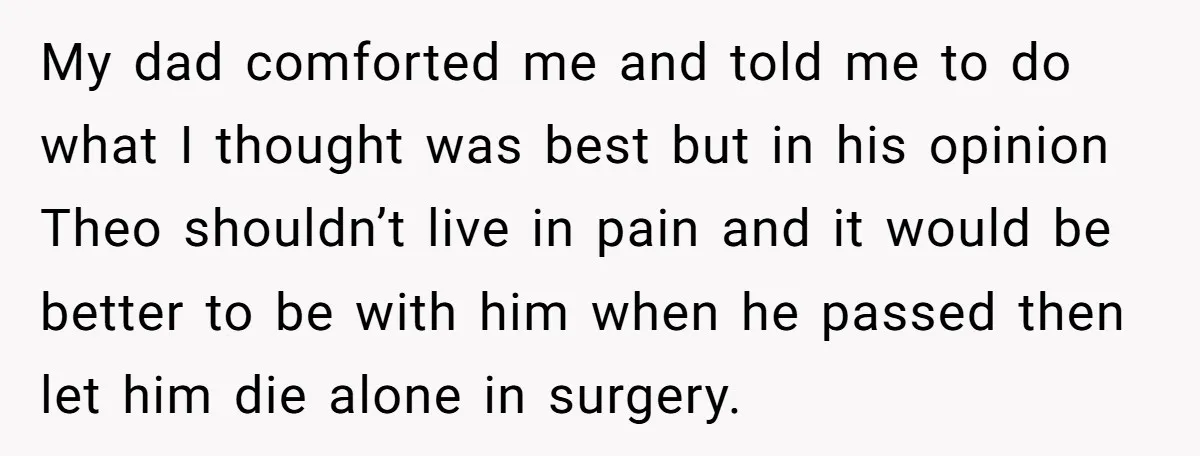 My dad comforted me and told me to do what I thought was best but in his opinion Theo shouldn’t live in pain and it would be better to be...