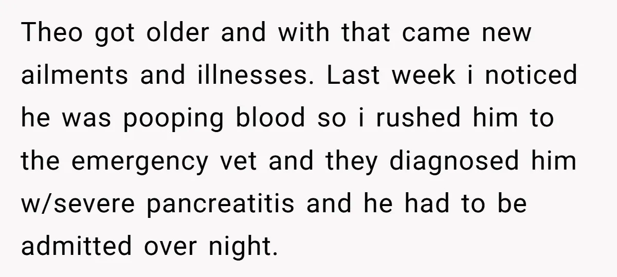 Theo got older and with that came new ailments and illnesses. Last week i noticed he was pooping blood so i rushed him to the emergency vet and they diagnosed...