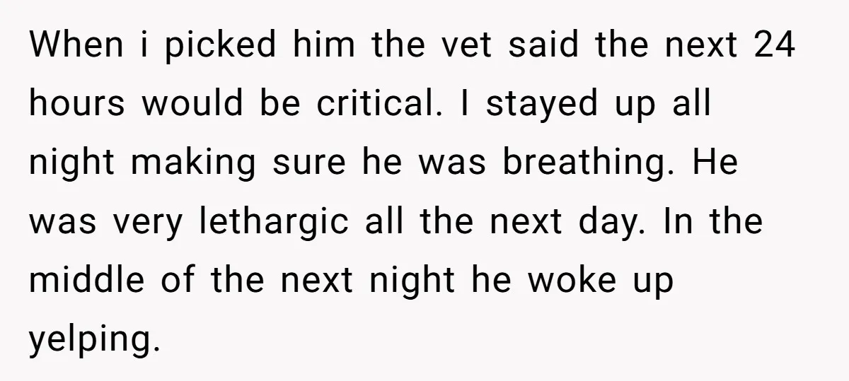 When i picked him the vet said the next 24 hours would be critical. I stayed up all night making sure he was breathing. He was very lethargic all the...