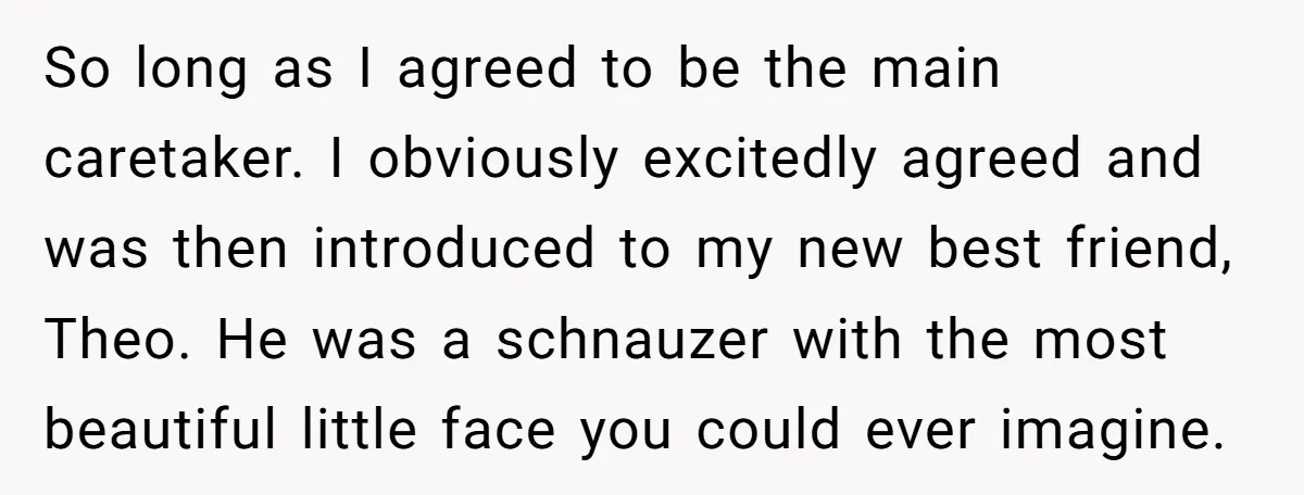 So long as I agreed to be the main caretaker. I obviously excitedly agreed and was then introduced to my new best friend, Theo. He was a schnauzer with the...