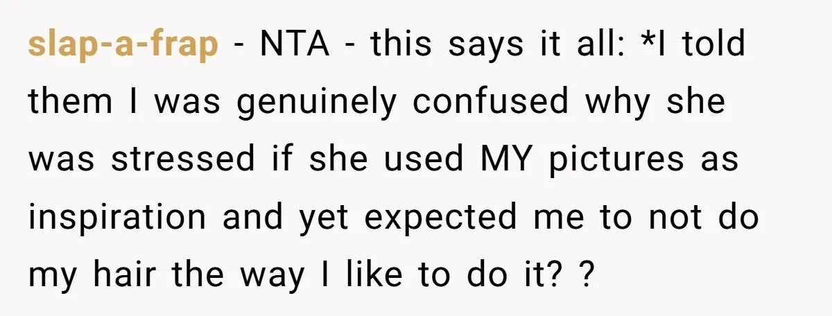 slap-a-frap − NTA - this says it all: *I told them I was genuinely confused why she was stressed if she used MY pictures as inspiration and yet expected me...