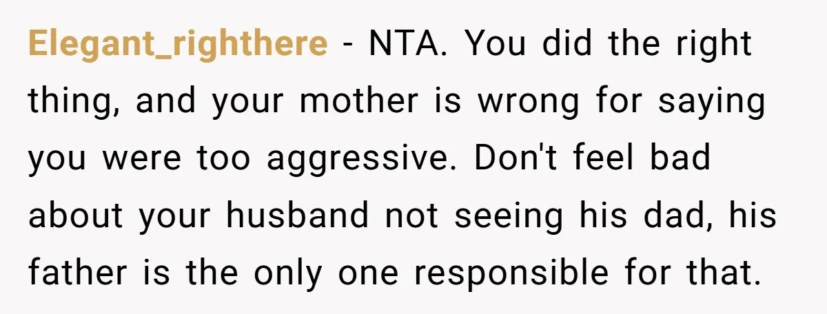 Elegant_righthere - NTA. You did the right thing, and your mother is wrong for saying you were too aggressive. Don't feel bad about your husband not seeing his dad, his...