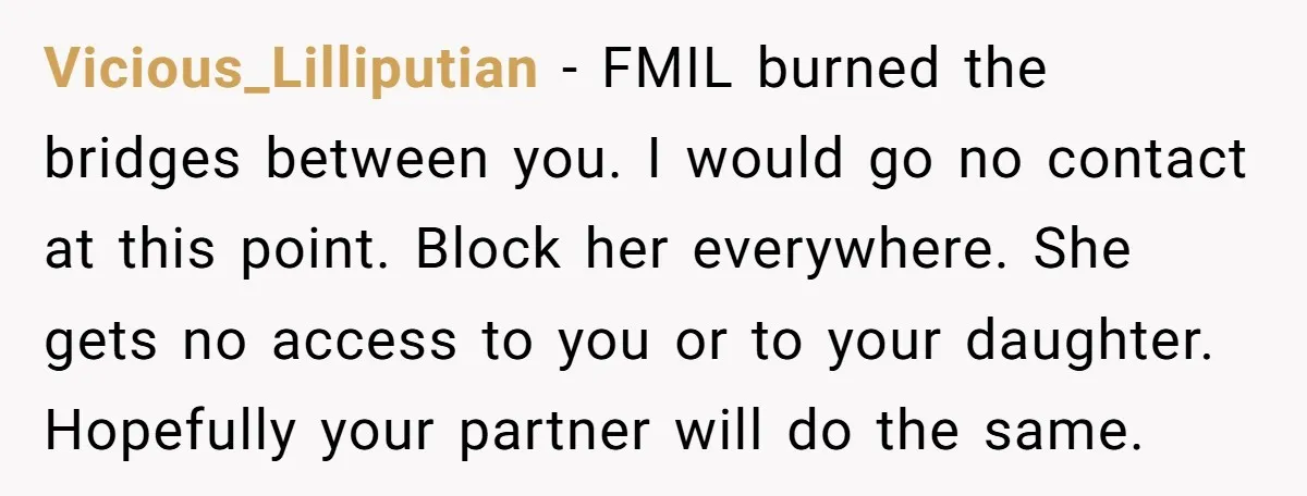 Vicious_Lilliputian - FMIL burned the bridges between you. I would go no contact at this point. Block her everywhere. She gets no access to you or to your daughter. Hopefully...