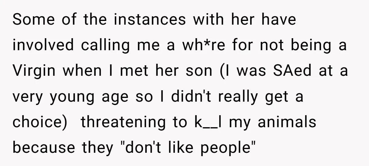 Some of the instances with her have involved calling me a wh*re for not being a Virgin when I met her son (I was SAed at a very young age...