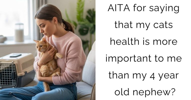 AITA for saying that my cats health is more important to me than my 4 year old nephew?