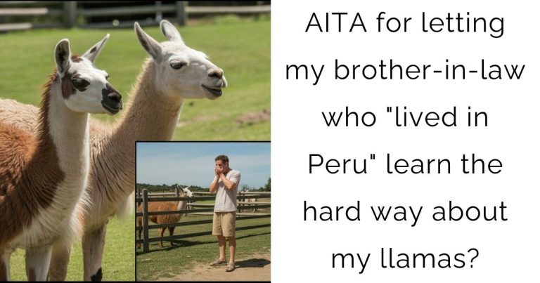 AITA for letting my brother-in-law who “lived in Peru” learn the hard way about my llamas?