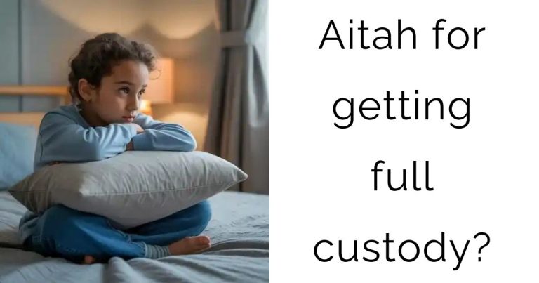 Aitah for getting full custody?