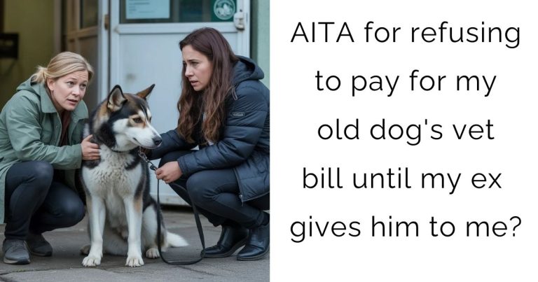 AITA for refusing to pay for my old dog’s vet bill until my ex gives him to me?
