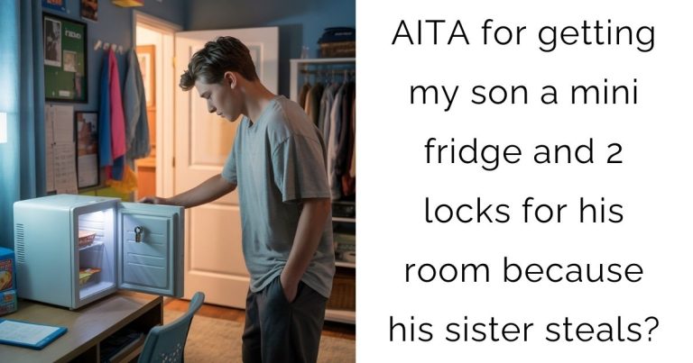 AITA for getting my son a mini fridge and 2 locks for his room because his sister steals?
