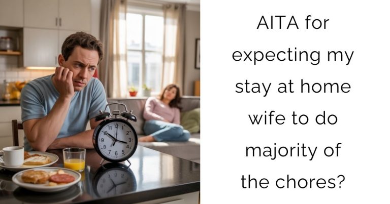 AITA for expecting my stay at home wife to do majority of the chores?