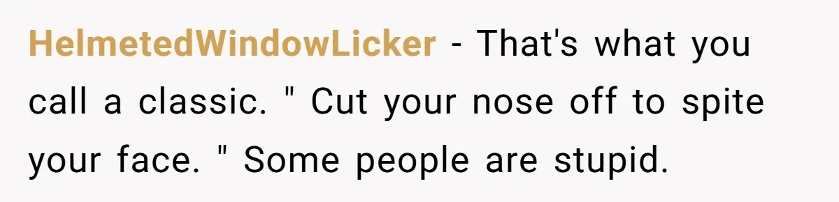 HelmetedWindowLicker − That's what you call a classic. " Cut your nose off to spite your face. " Some people are stupid.