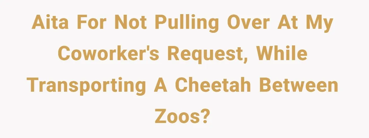 AITA for not pulling over at my coworker's request, while transporting a cheetah between zoos?