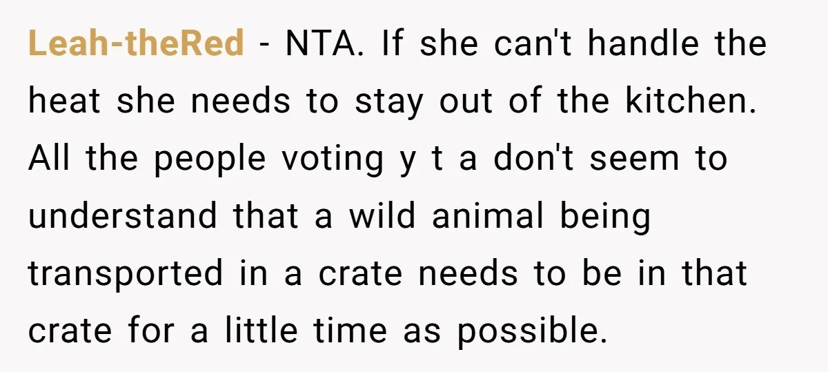 Leah-theRed − NTA. If she can't handle the heat she needs to stay out of the kitchen. All the people voting y t a don't seem to understand that a...
