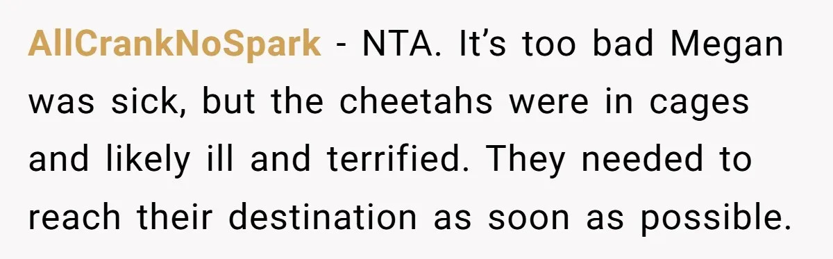 AllCrankNoSpark − NTA. It’s too bad Megan was sick, but the cheetahs were in cages and likely ill and terrified. They needed to reach their destination as soon as possible.