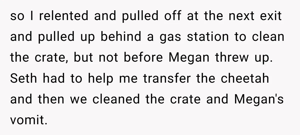 so I relented and pulled off at the next exit and pulled up behind a gas station to clean the crate, but not before Megan threw up. Seth had to...