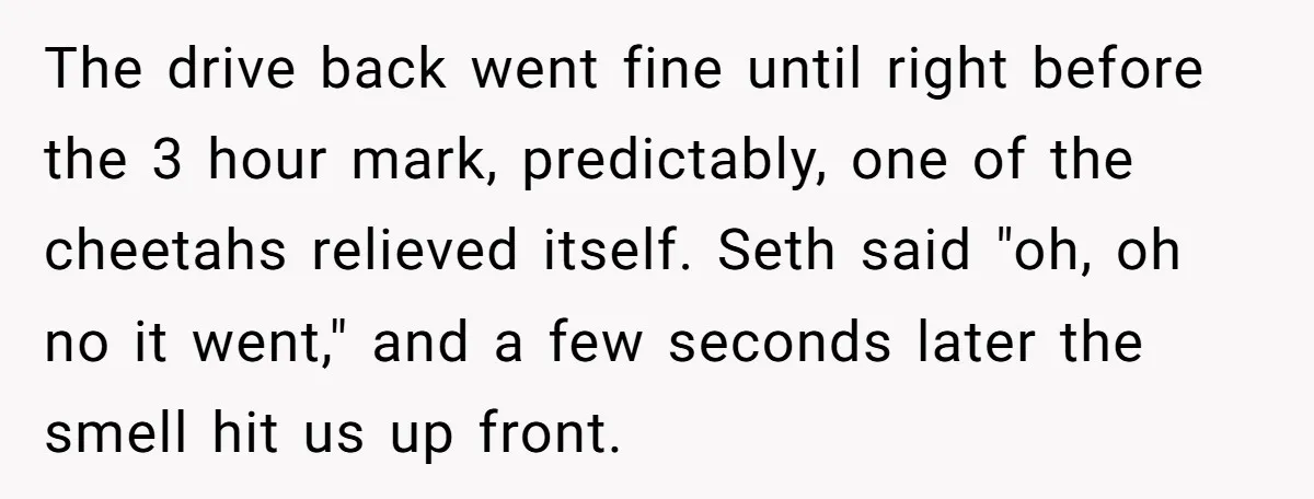 The drive back went fine until right before the 3 hour mark, predictably, one of the cheetahs relieved itself. Seth said "oh, oh no it went," and a few seconds...