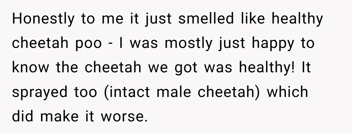 Honestly to me it just smelled like healthy cheetah poo - I was mostly just happy to know the cheetah we got was healthy! It sprayed too (intact male cheetah)...