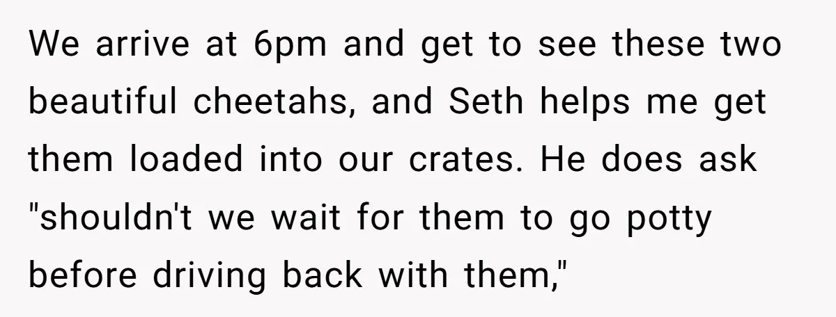 We arrive at 6pm and get to see these two beautiful cheetahs, and Seth helps me get them loaded into our crates. He does ask "shouldn't we wait for them...