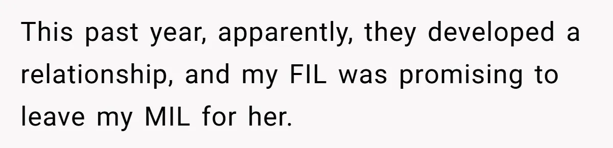 This past year, apparently, they developed a relationship, and my FIL was promising to leave my MIL for her.