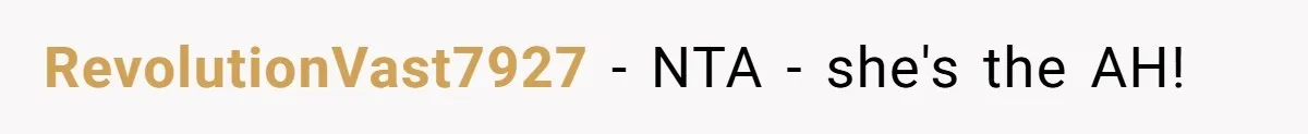 RevolutionVast7927 − NTA - she's the AH!