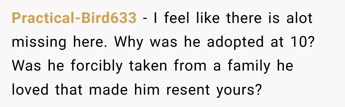 Practical-Bird633 − I feel like there is alot missing here. Why was he adopted at 10? Was he forcibly taken from a family he loved that made him resent yours?