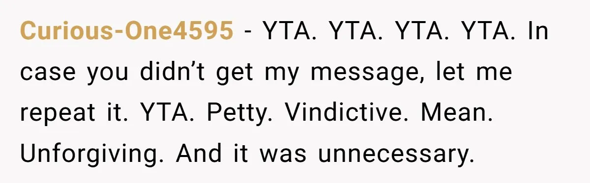 Curious-One4595 − YTA. YTA. YTA. YTA. In case you didn’t get my message, let me repeat it. YTA. Petty. Vindictive. Mean. Unforgiving. And it was unnecessary.