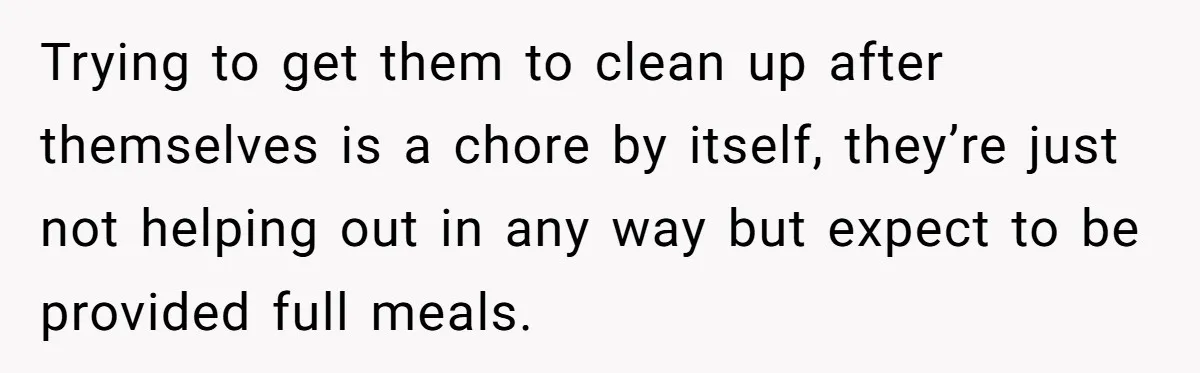 Trying to get them to clean up after themselves is a chore by itself, they’re just not helping out in any way but expect to be provided full meals.