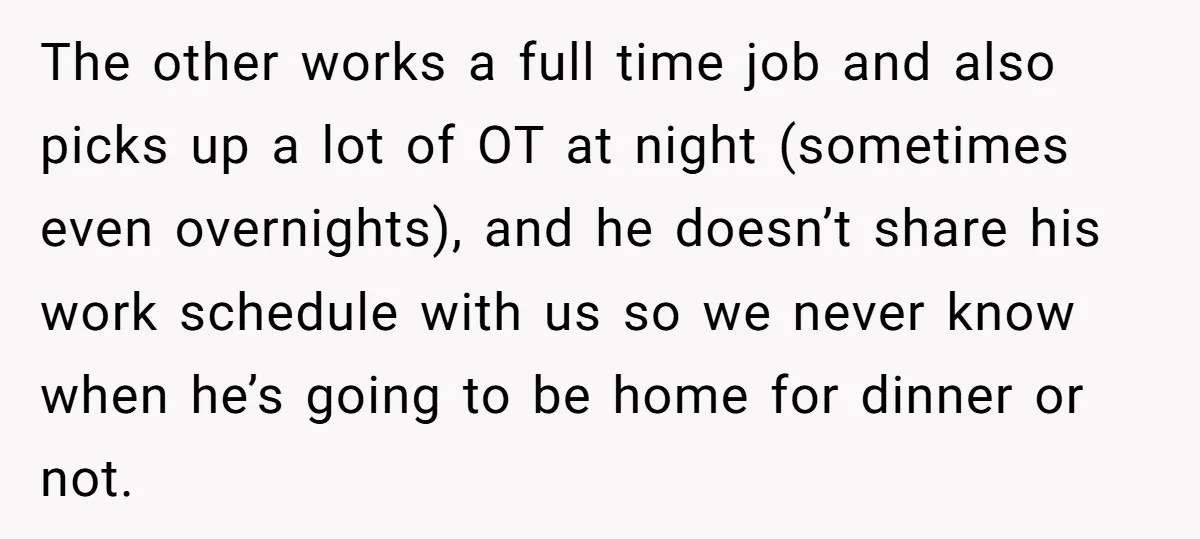 The other works a full time job and also picks up a lot of OT at night (sometimes even overnights), and he doesn’t share his work schedule with us so...