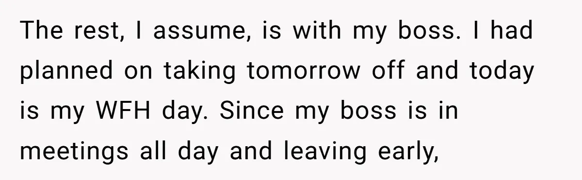 The rest, I assume, is with my boss. I had planned on taking tomorrow off and today is my WFH day. Since my boss is in meetings all day and...