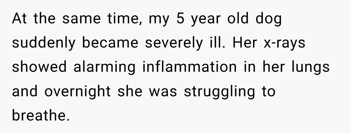 At the same time, my 5 year old dog suddenly became severely ill. Her x-rays showed alarming inflammation in her lungs and overnight she was struggling to breathe.
