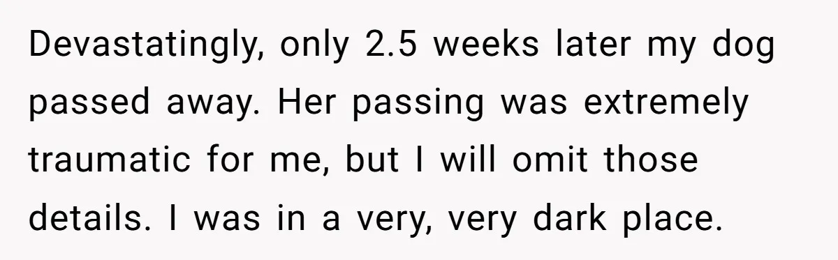 Devastatingly, only 2.5 weeks later my dog passed away. Her passing was extremely traumatic for me, but I will omit those details. I was in a very, very dark place.