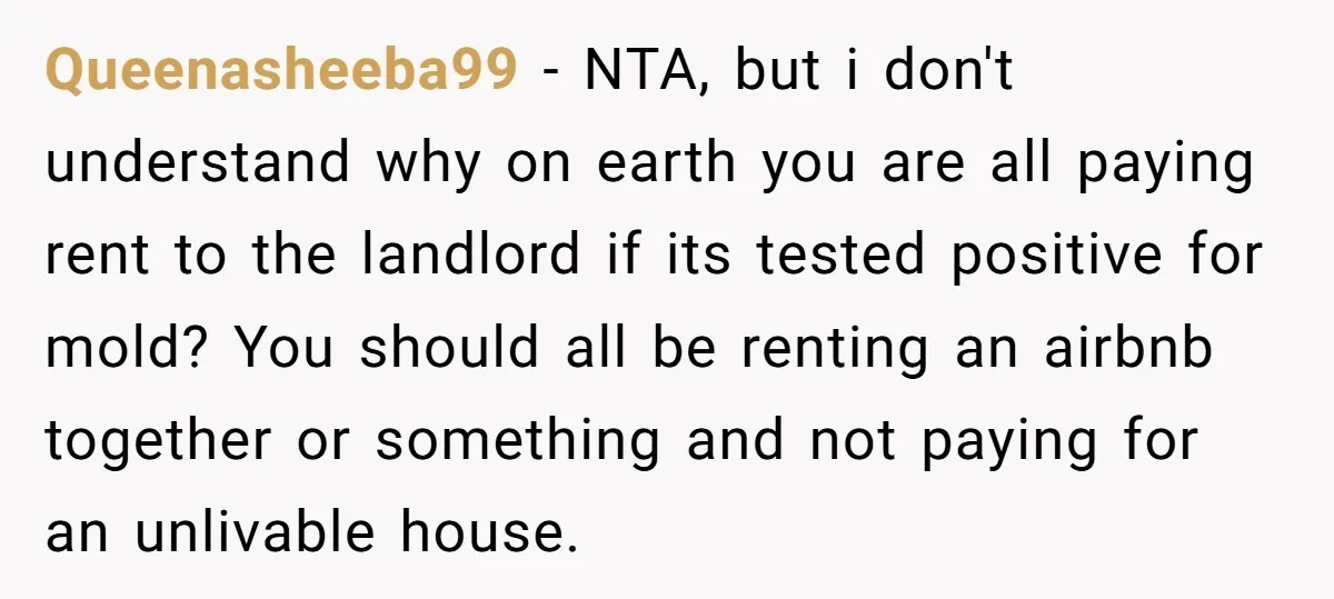Queenasheeba99 − NTA, but i don't understand why on earth you are all paying rent to the landlord if its tested positive for mold? You should all be renting an...