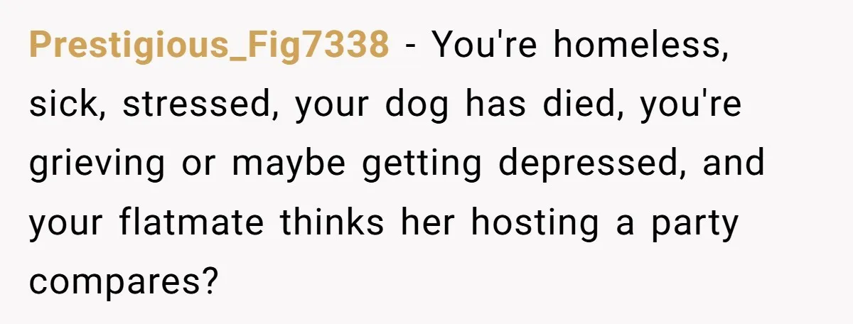 Prestigious_Fig7338 − You're homeless, sick, stressed, your dog has died, you're grieving or maybe getting depressed, and your flatmate thinks her hosting a party compares?