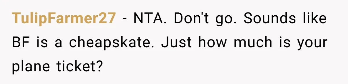 TulipFarmer27 − NTA. Don't go. Sounds like BF is a cheapskate. Just how much is your plane ticket?