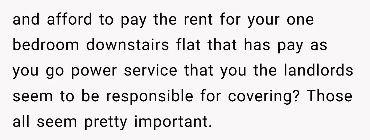and afford to pay the rent for your one bedroom downstairs flat that has pay as you go power service that you the landlords seem to be responsible for covering?...