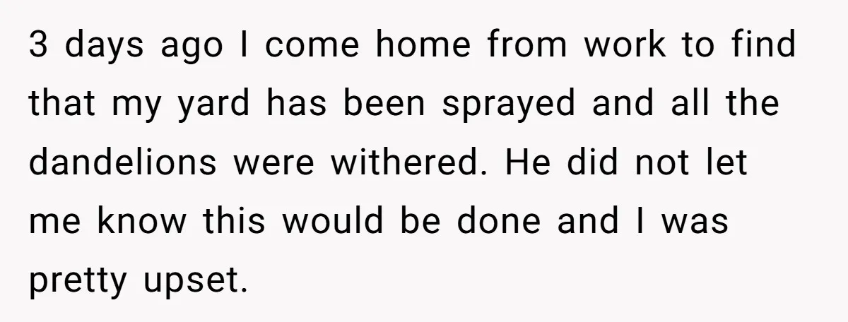 3 days ago I come home from work to find that my yard has been sprayed and all the dandelions were withered. He did not let me know this would...
