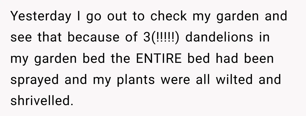 Yesterday I go out to check my garden and see that because of 3(!!!!!) dandelions in my garden bed the ENTIRE bed had been sprayed and my plants were all...