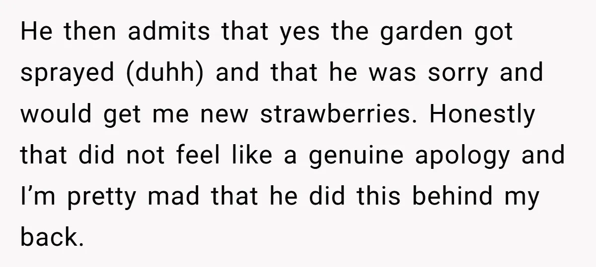 He then admits that yes the garden got sprayed (duhh) and that he was sorry and would get me new strawberries. Honestly that did not feel like a genuine apology...
